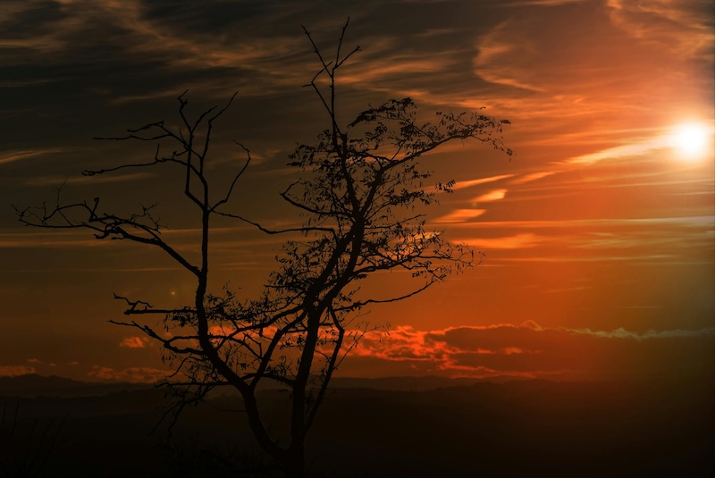 God Takes Action On Good and Evil According To His Will and Plans